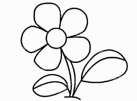 qq画图红包花朵怎么画？QQ画图红包所有图案汇总