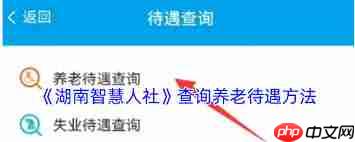 湖南智慧人社怎么测算养老金