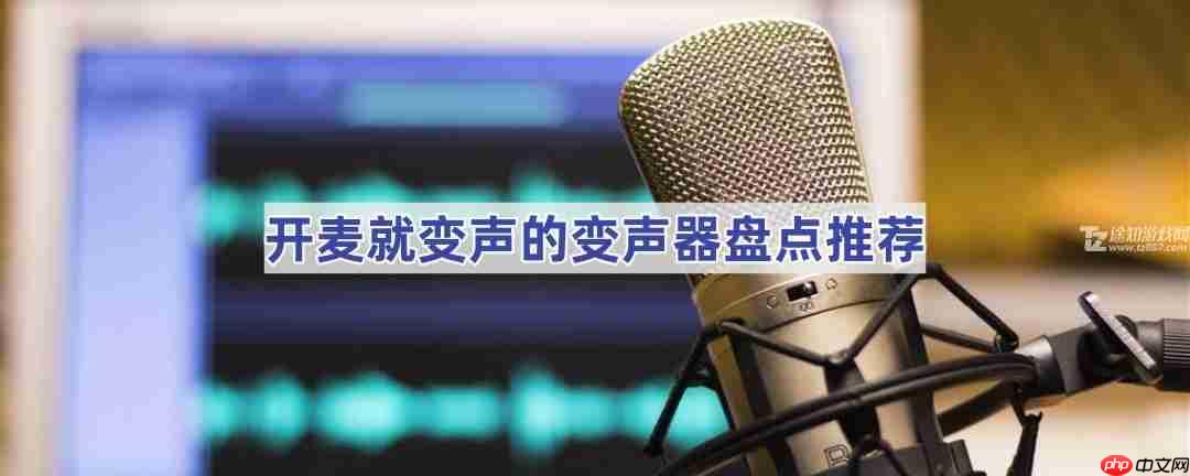 开麦就变声的变声器盘点推荐