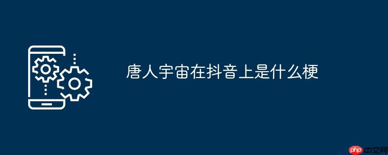 唐人宇宙在抖音上是什么梗