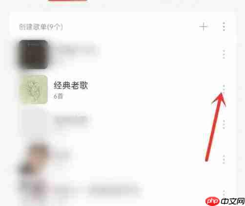 网易云音乐怎么私密单个歌单 网易云音乐单个歌单私密方法介绍