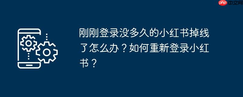 刚刚登录没多久的小红书掉线了怎么办？如何重新登录小红书？