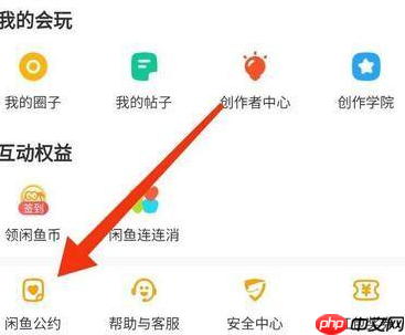 闲鱼公约在哪里看