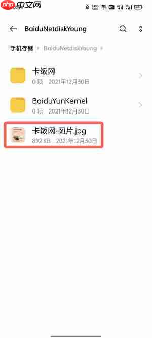 百度网盘青春版下载的图片在哪里