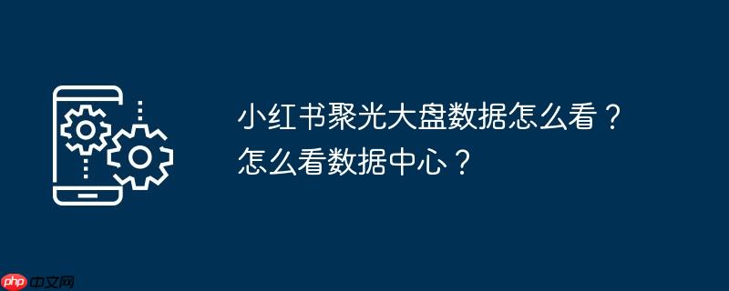小红书聚光大盘数据怎么看？怎么看数据中心？