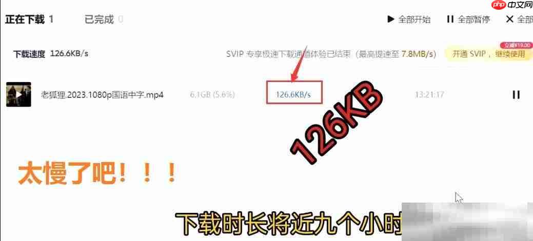 夸克网盘的文件怎么下载到本地？（快速下载方法分享）