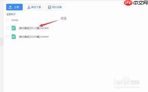 百度云怎么下载种子视频 百度云下载种子视频教程