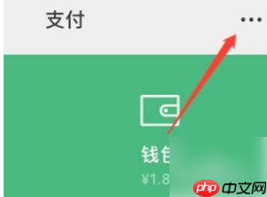 洪恩识字怎么关闭自动续费 洪恩识字关闭自动续费方法介绍
