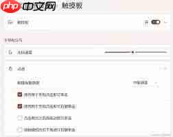 win10系统如何设置三指手势