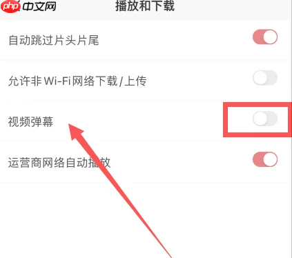 爱奇艺随刻版弹幕怎么设置 爱奇艺随刻开启视频弹幕功能教程