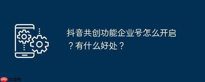 抖音共创功能企业号怎么开启？有什么好处？