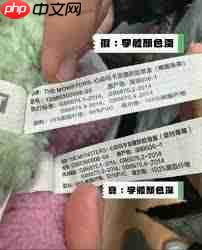 如何辨认真假labubu