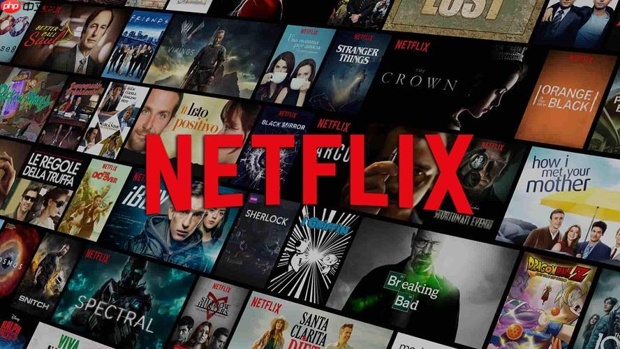 奈飞Netflix中文界面设置方法 轻松开启简体字幕完整教程