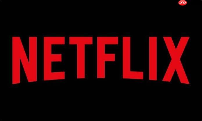 Netflix奈飞简体字幕设置技巧 详细中文界面切换步骤解析