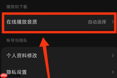 汽水音乐怎么设置音质？汽水音乐设置音质的方法