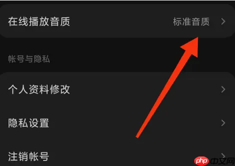 汽水音乐怎么设置音质？汽水音乐设置音质的方法