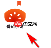 番茄小说如何点击关注小说作者？番茄小说点击关注小说作者的方法