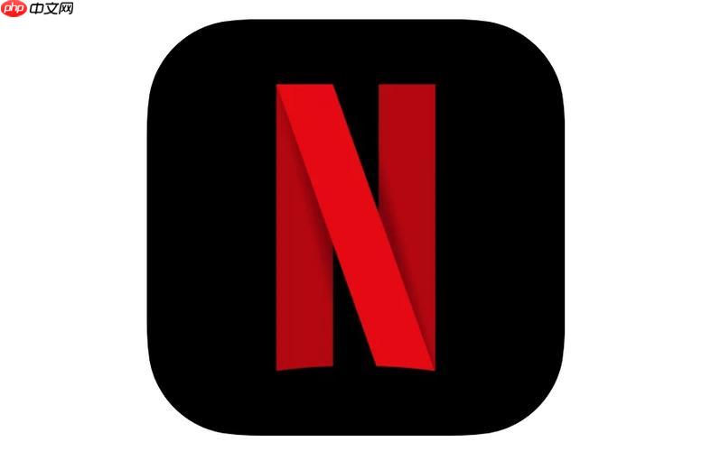 奈飞字幕设置指南 如何在Netflix上调整中文字幕样式