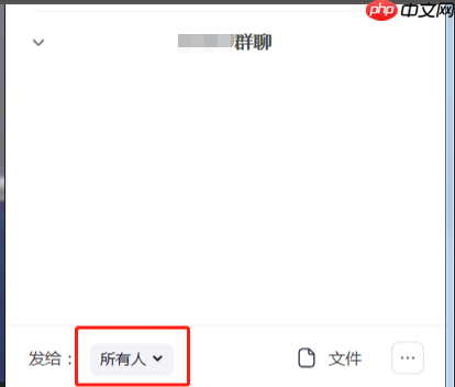 Zoom视频会议如何同时进行文字信息聊天？Zoom视频会议同时进行文字信息聊天的方法