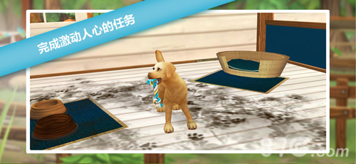 猫舍最新版
