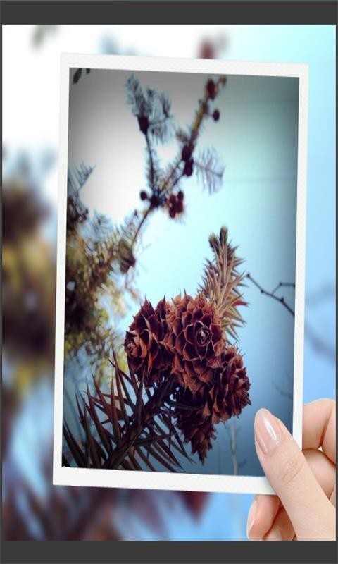 Funcamera