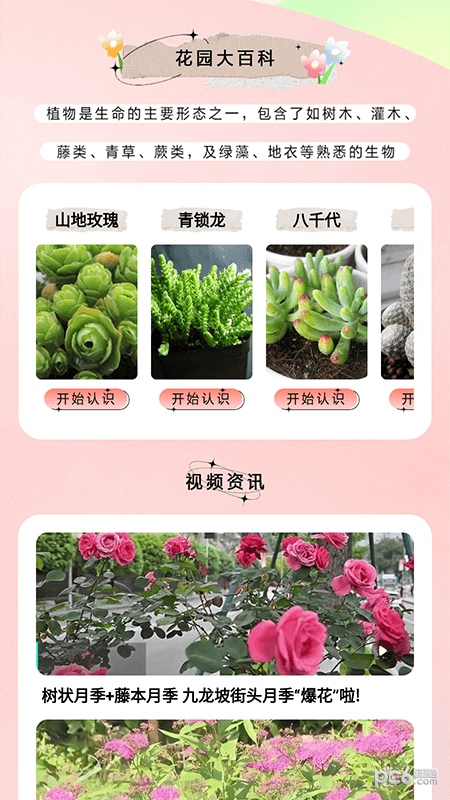 万物识图大师手机版