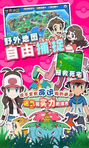口袋喵喵免费版