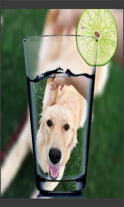 Funcamera手机版
