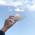 淘宝捡漏王免费版