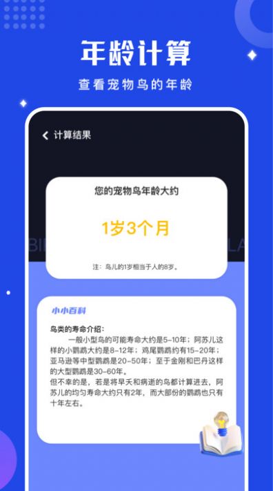 鸟语语言翻译器最新版