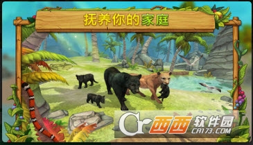 猎豹家庭模拟器