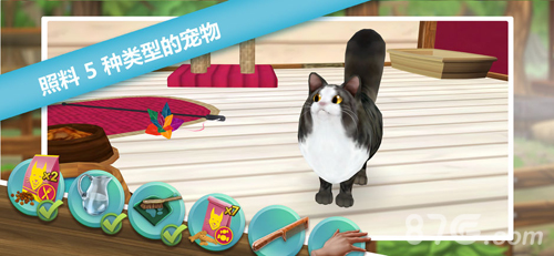 猫舍免费版