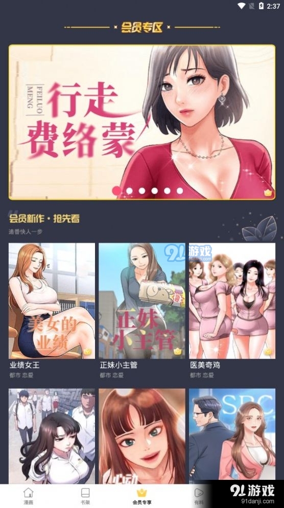 流星集