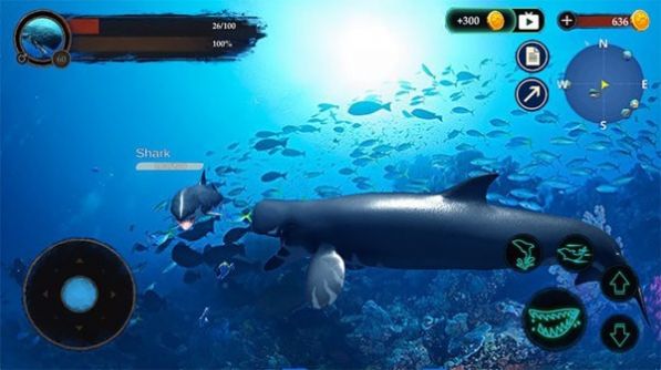 抹香鲸模拟器最新版