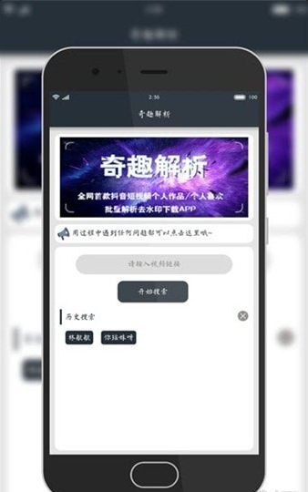 奇趣解析手机版