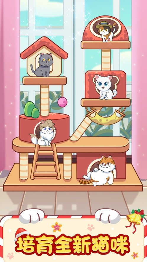 猫咪小家官网版