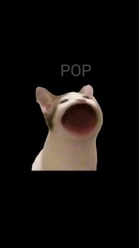PopCat最新版