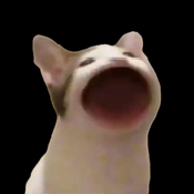 PopCat手机版