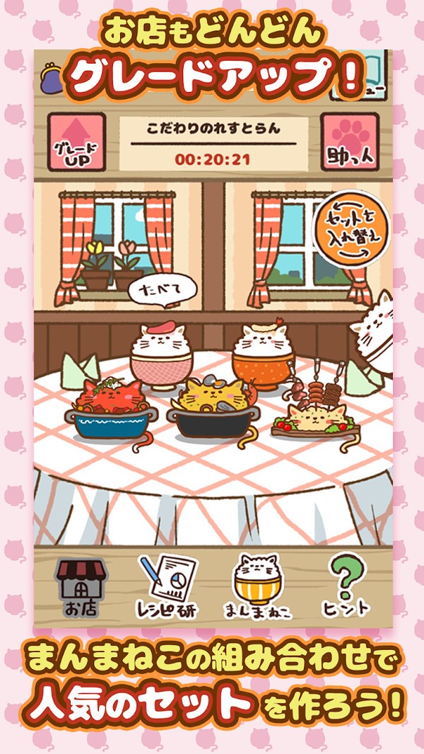 猫咪盖饭官网版