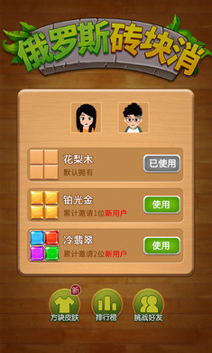 俄罗斯砖块消安卓版