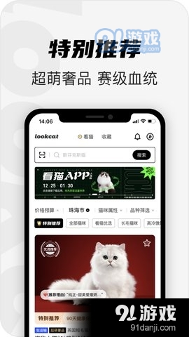 看猫安卓版