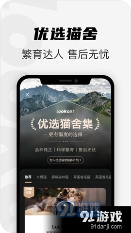 看猫最新版