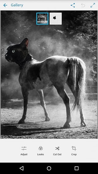 AdobePhotoshopMix手机版