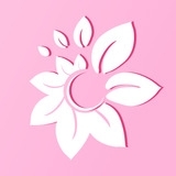 花儿直播手机版