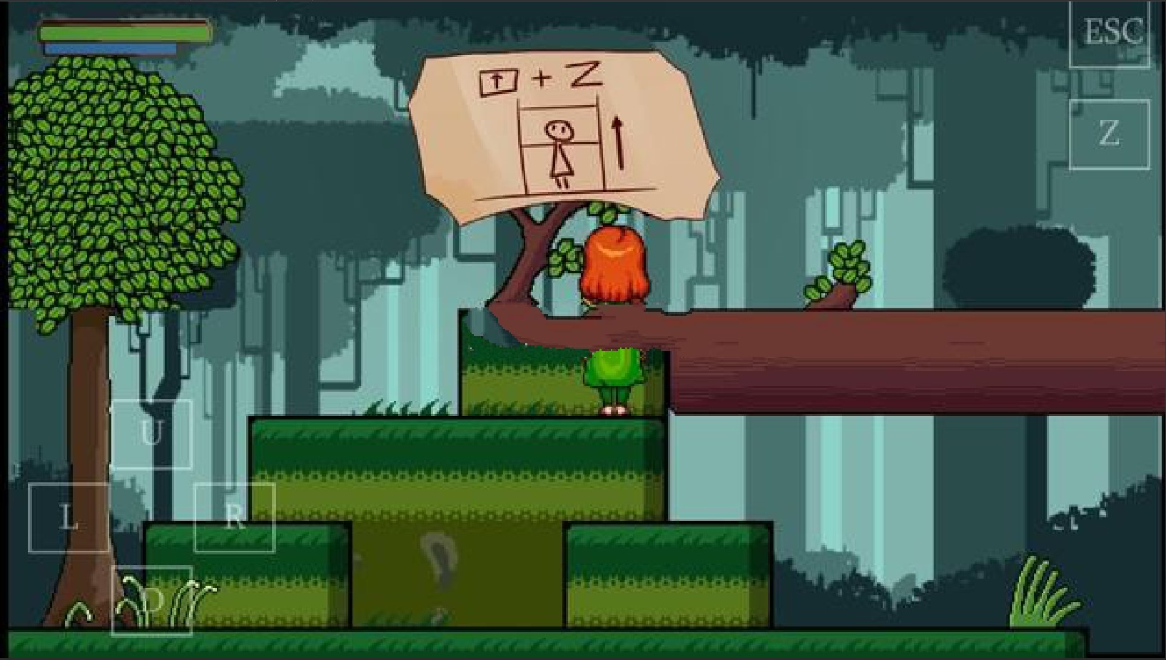 风行森林最新版