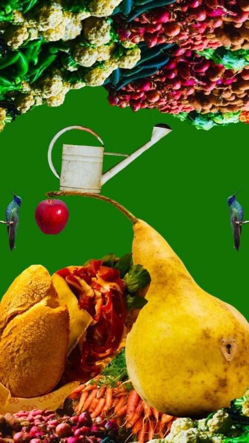 无梦房间手机版